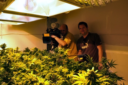 A medical cannabis grow 
Oakland, CA
